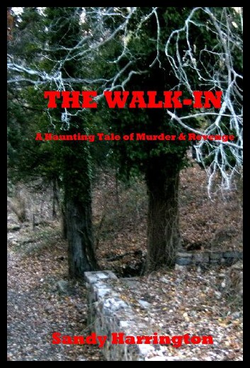 【预售】The Walk-In: A Haunting Tale of Murder and Reveng