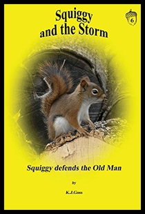 and 预售 Squiggy Storm the