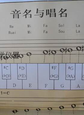 音乐教学挂图 全套100幅 中小学音乐教学挂图 乐理乐器音乐家肖像