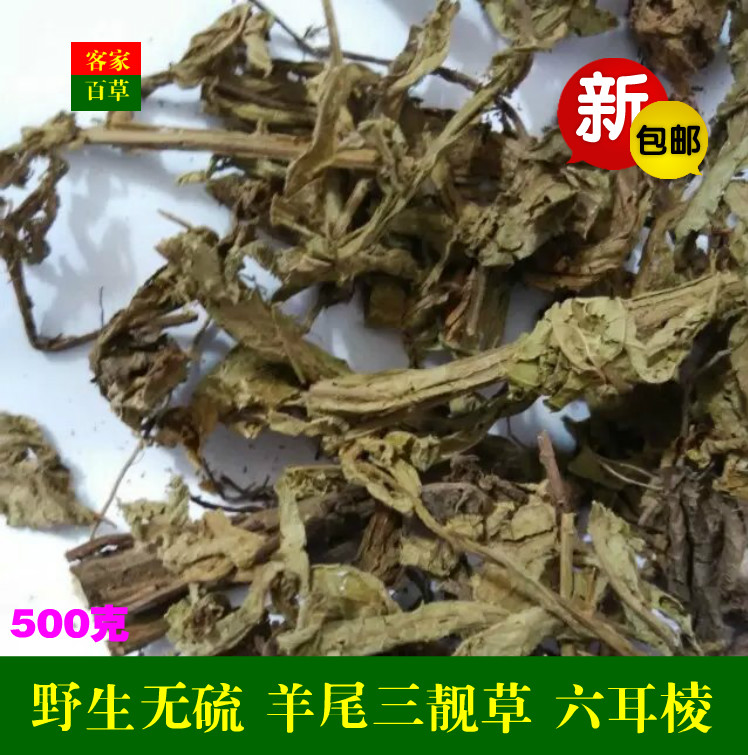 走马风 六耳棱 羊尾三靓草百草王鹿耳翎六棱菊六耳铃5