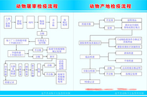 652海报展板印制素材墙贴挂图749动物卫生监督所屠宰产地检疫流程