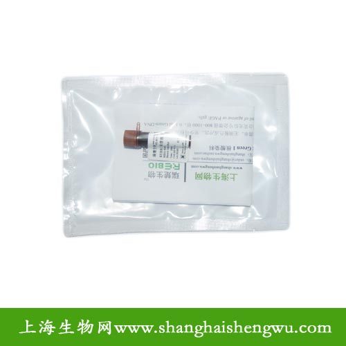 10000×核苷酸胶体染料SYBR Green I 10×100ul R04016 核酸电泳