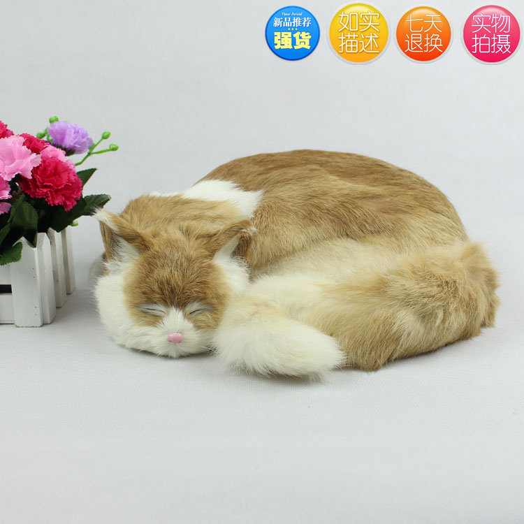 真皮毛仿真动物仿真猫咪标本摆件1:1:猫咪工艺品桌面礼品睡猫包邮