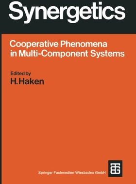 【预售】Synergetics