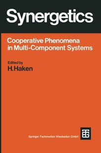 【预售】Synergetics