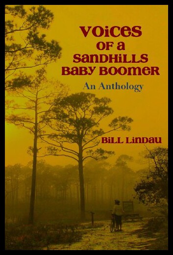 【预售】Voices of a Sandhills Baby Boomer