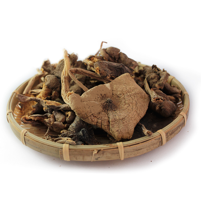 Pick mushrooms Yunnan special Wild mushroom Cockfir fungus Chicken Brown fungus Termite dried food natural Season 50 gramin the Agri rice/Dried foods/Condiment , Dried foods/Meat Dry , Dry/Native , Agaricus blazei  category - from Buy2taobao.com to provide professional Taobao agent buy service