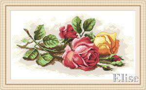 十字绣高清彩色印刷图纸花卉HH076含羞玫瑰5635cross stitch