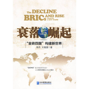 衰落与崛起：“金砖四国”构建新世界