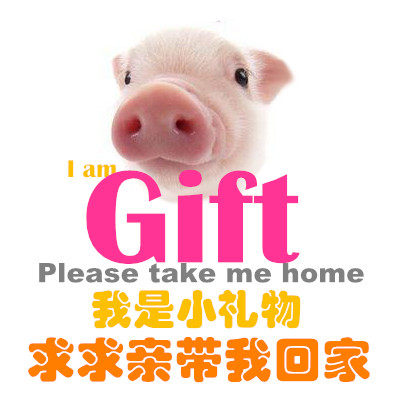 Accessoire coiffure en autre - Ref 1202263 Image 3