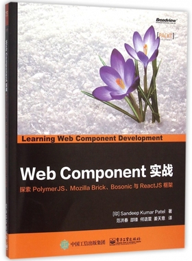 【正版包邮】Web Component实战(探索PolymerJS