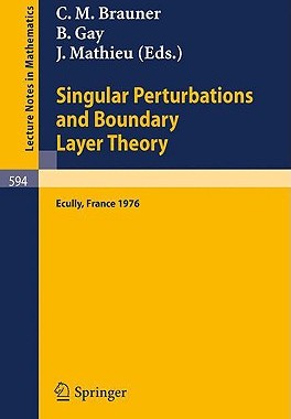 【预订】Singular Perturbations and Boundary ...