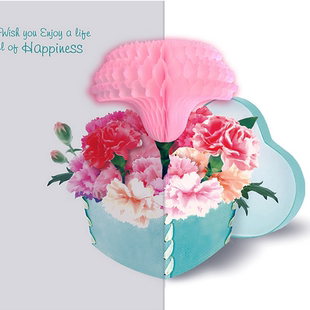 Pads pour soutien-gorge 2NUL - Ref 817835 Image 10