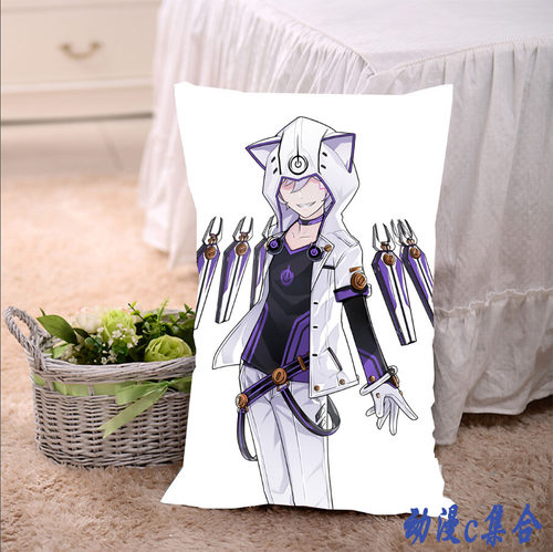 艾尔之光抱枕套毕业动漫周边送宅