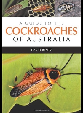 【预售】A Guide to the Cockroaches of Australia