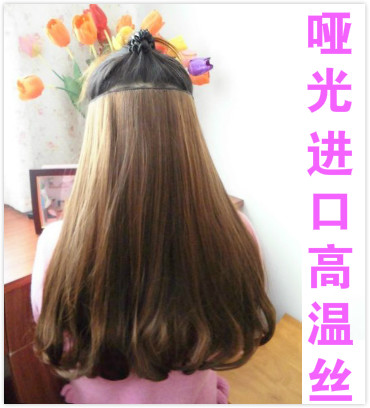 Extension cheveux - Ref 219080 Image 1