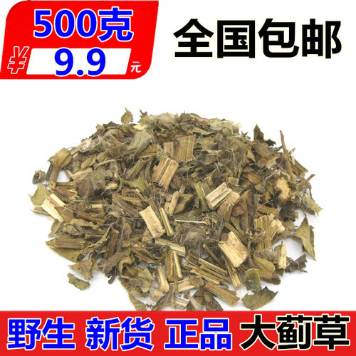 中药材大蓟草生大蓟马蓟