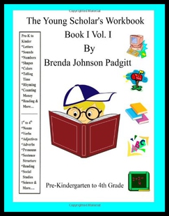 Workbook Scholar Young 预售 The