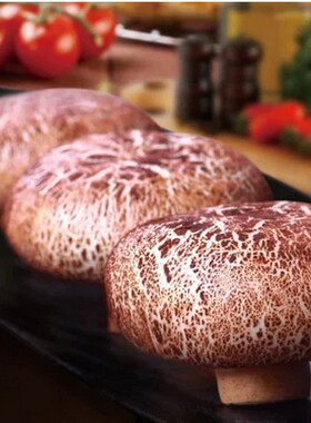 乐肴居烧肉蘑菇包 速冻食品 包子 方便面点  下午茶点心 10个