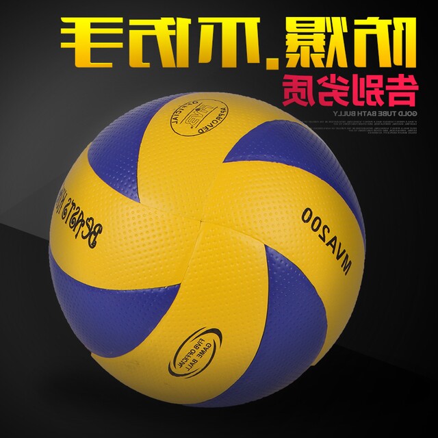 Ballon de volley-ball - Ref 2011462 Image 1