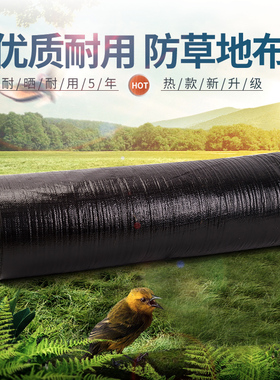 霞辉厂家直销园艺地布防草布除草垫布黑色除草布土工布透气加厚