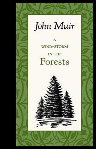 【预售】Wind-Storm in the Forests
