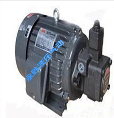 液压系统内轴式电油泵组合3HP2.2KW+VP40叶片泵组 液压站专用