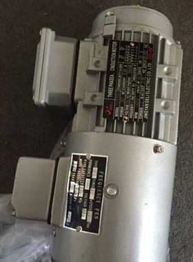 DELI电机YVP8014  550W 马达YEJ8024 YEJ-7124 GS100L-2 GS8024