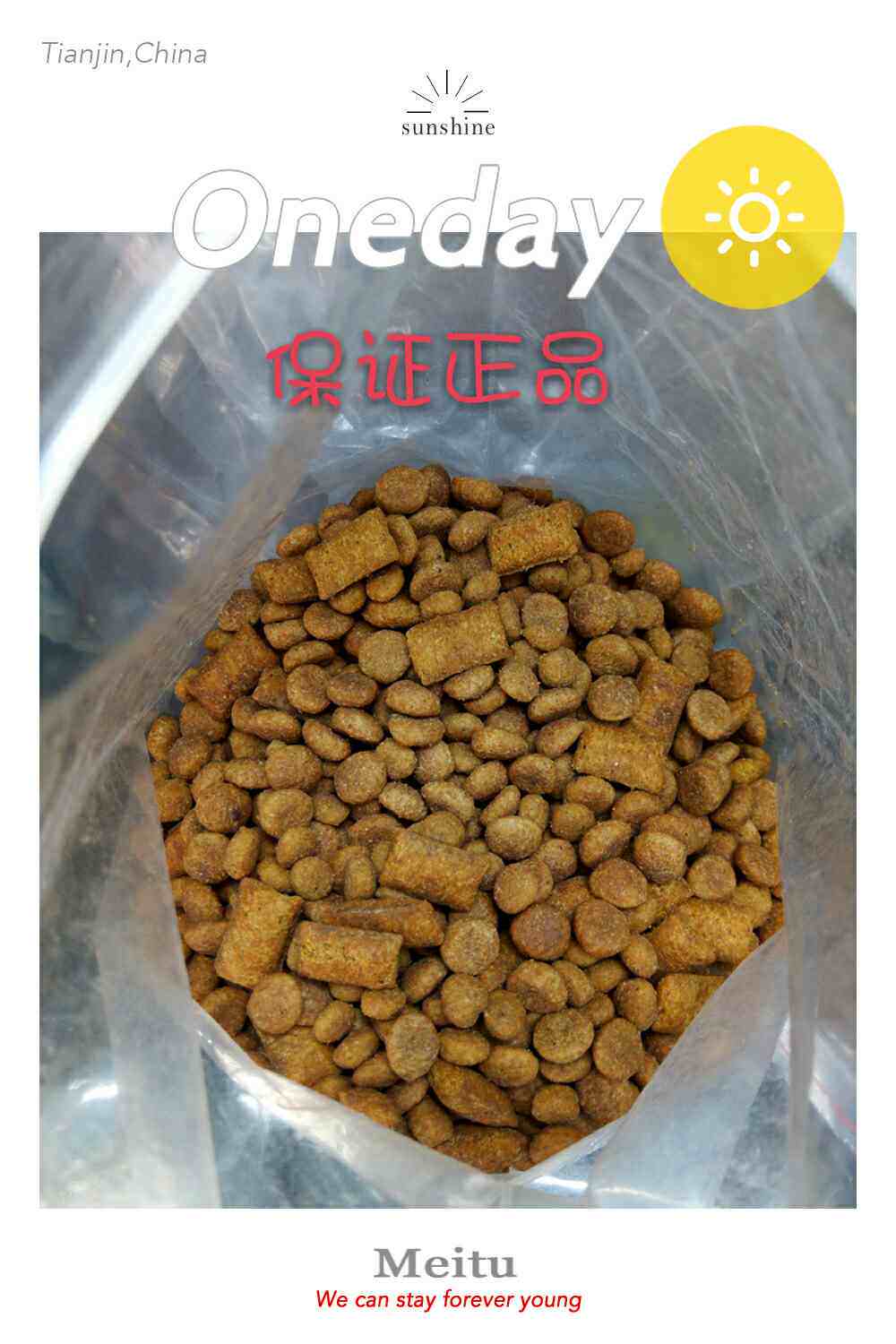 伟嘉海洋鱼味散装500g猫粮包邮