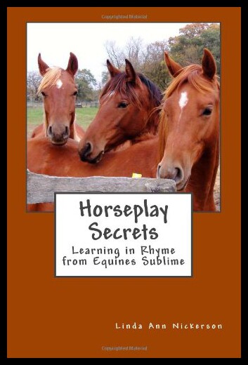 【预售】Horseplay Secrets: Learning in Rhyme from Equines