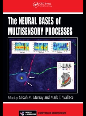 【预售】The Neural Bases of Multisensory Pro...