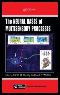 Neural The 预售 Pro... Multisensory Bases
