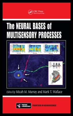 【预售】The Neural Bases of Multisensory Pro...