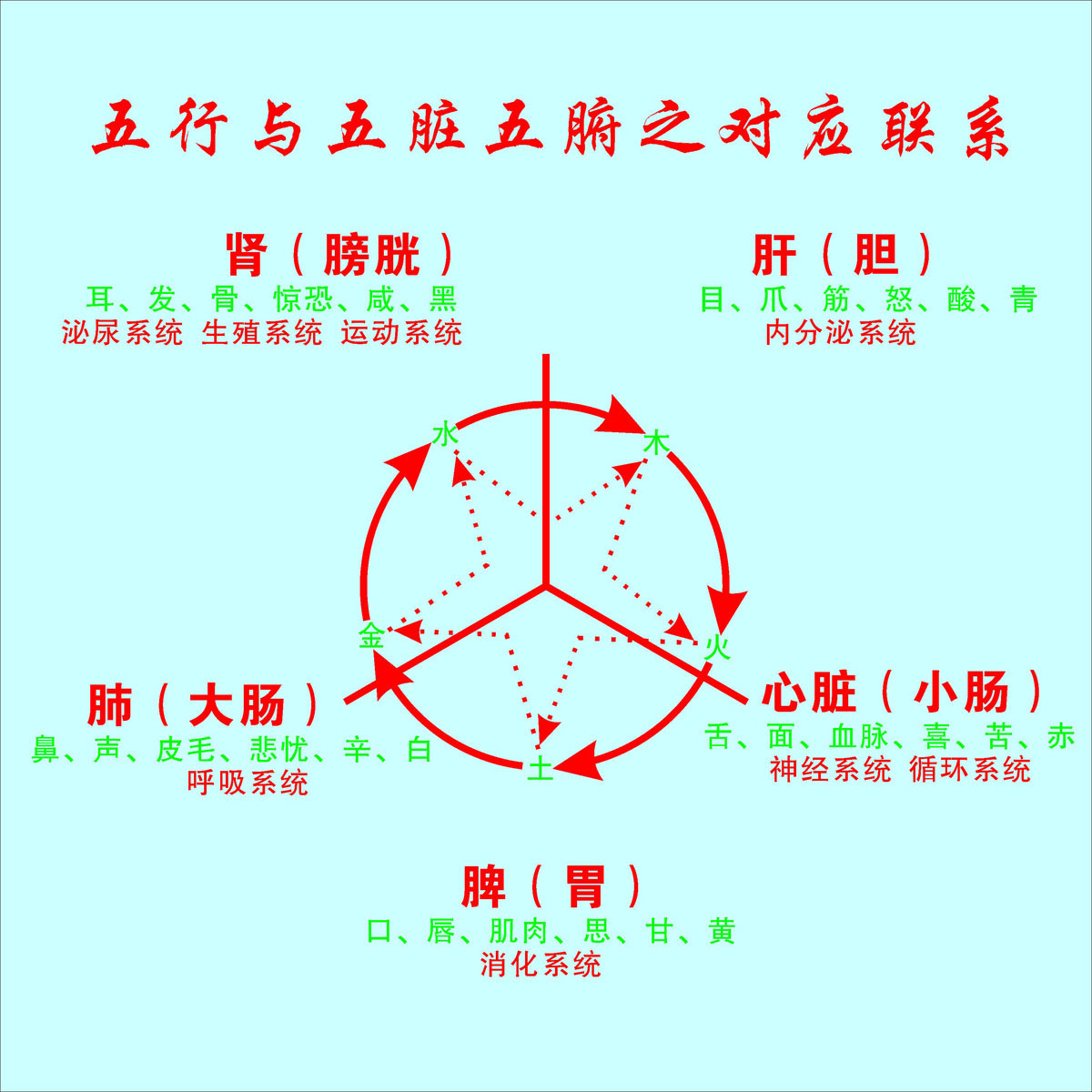 733海报印制展板写真喷绘贴纸109五行与五脏五腑之对应图