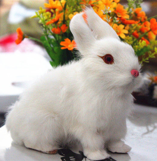 仿真动物模型 仿真兔 白兔真兔皮毛 各款兔子摄影教学道具