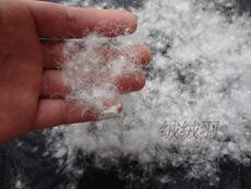 Текстиль для дома 90%水洗散装白鸭绒小朵绒 羽绒被羽绒服半成品填充物料 散装羽绒