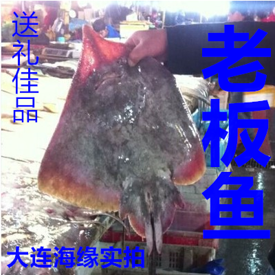 新鲜冷冻特大老板鱼13斤/条冰鲜铧子鱼魔鬼鱼孔鳐油炸老板鱼煲汤