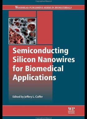 【预售】Semiconducting Silicon Nanowires for B