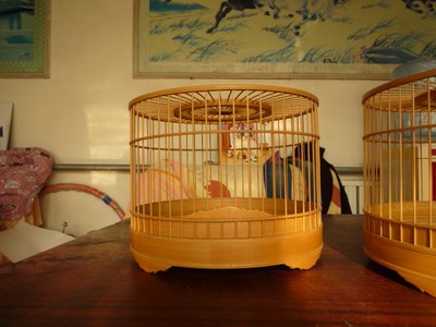 涿州张永华鸟笼鸟具，竹制鸟笼 竹制川款全合竹靛颏笼