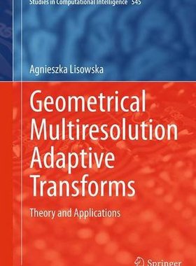 【预订】Geometrical Multiresolution Adaptive...