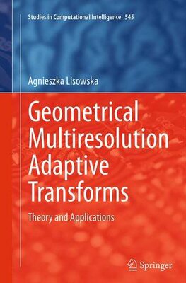 【预订】Geometrical Multiresolution Adaptive...