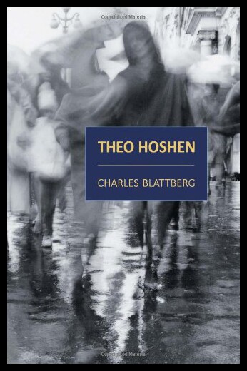 【预售】The Adventurous Young Philosopher Theo Hoshen of