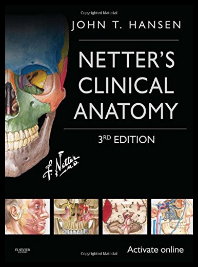 美国库房发货，通常付款后5-8周到货！