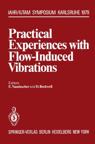 【预订】Practical Experiences with Flow-Indu... 书籍/杂志/报纸 原版其它 原图主图