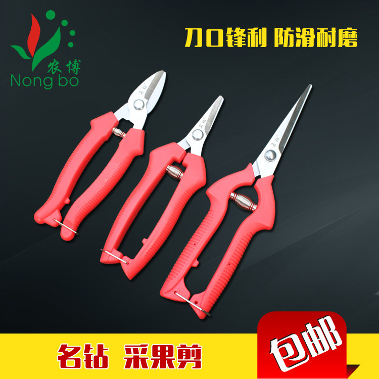 名钻稀果剪园艺剪刀花木修枝剪苗木果蔬采摘剪翘头剪桑剪桔剪采摘,鲜花速递/花卉仿真/绿植园艺,剪刀,淘宝优惠券,粉丝福利购,淘宝优惠卷