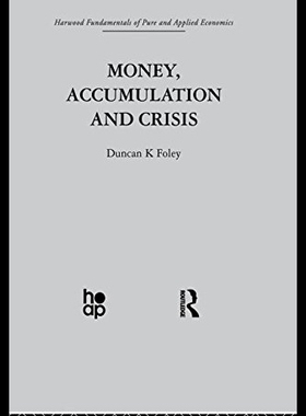 【预售】Money, Accumulation and Crisis