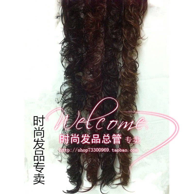 Extension cheveux - Chignon - Ref 228394 Image 1