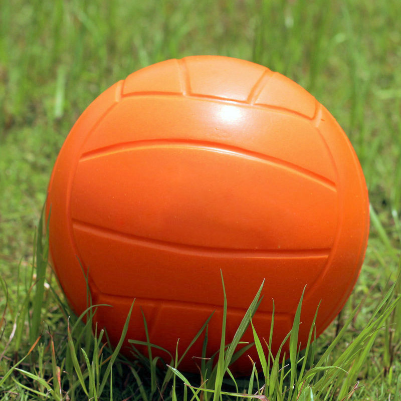 Ballon de volley-ball - Ref 2011925 Image 1