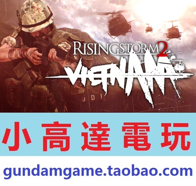 PC正版/风起云涌2：越南/Rising Storm 2: Vietnam/Steam数字版