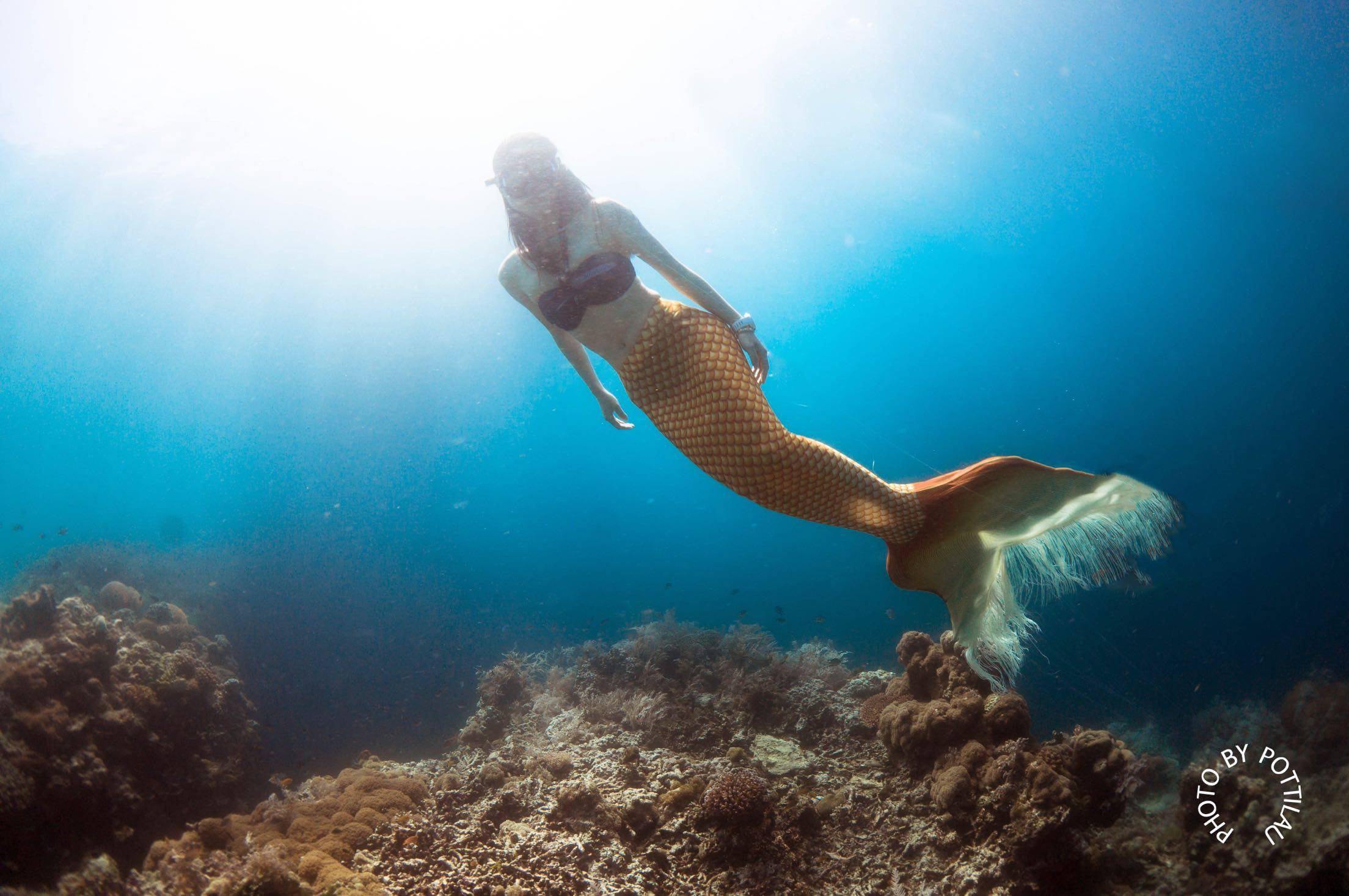 [POTTI] 珠海AIDA 2星自由潜水课程培训训练 freediving专业教学在类目 户外/登山/野营/旅行用品, 专项户外运动装备, 水上船艇, 其他中 - 来自Buy2taobao.com提供专业的淘宝代购服务